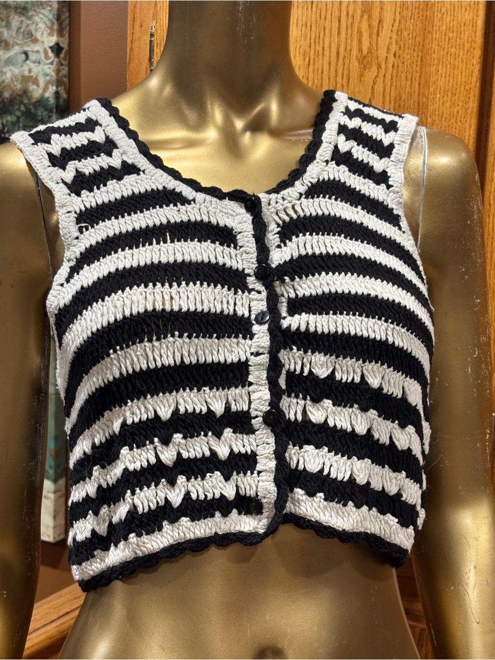 Rebellion Black and White Striped Cropped Knit Button-Front Vest